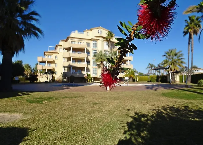 Golf Y Mar - Oliva Nova